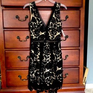 Romeo & Juliet Couture Lace MIDI dress